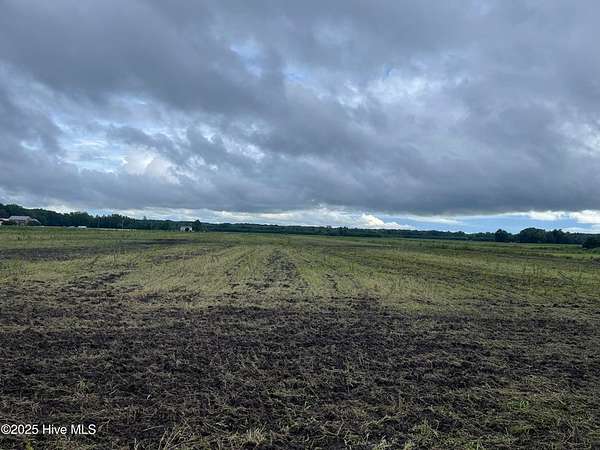 1.3 Acres of Land for Sale in Tyner, North Carolina