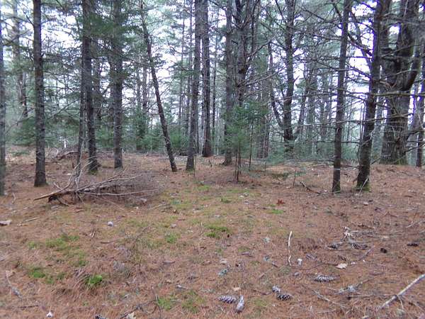 1.7 Acres of Residential Land for Sale in Steuben, Maine