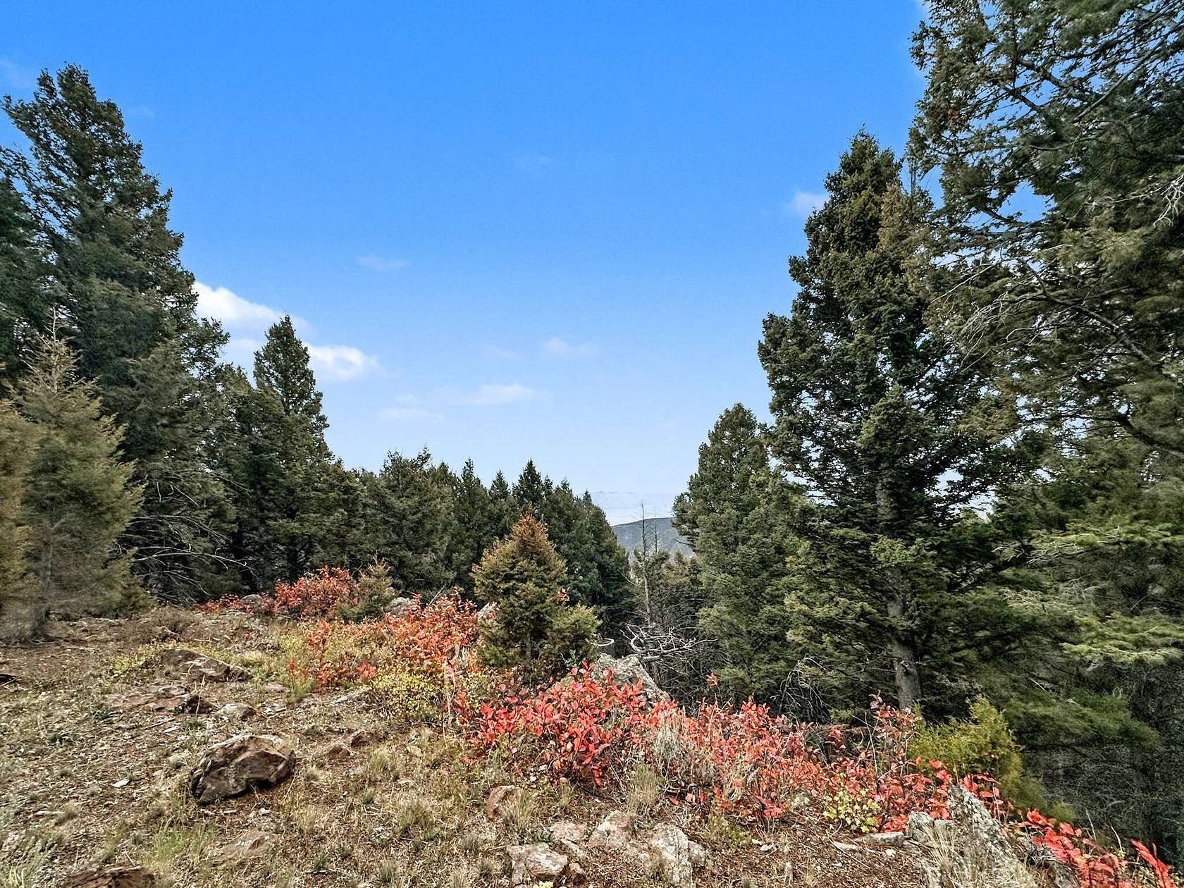 15 Acres of Recreational Land for Sale in Ennis, Montana