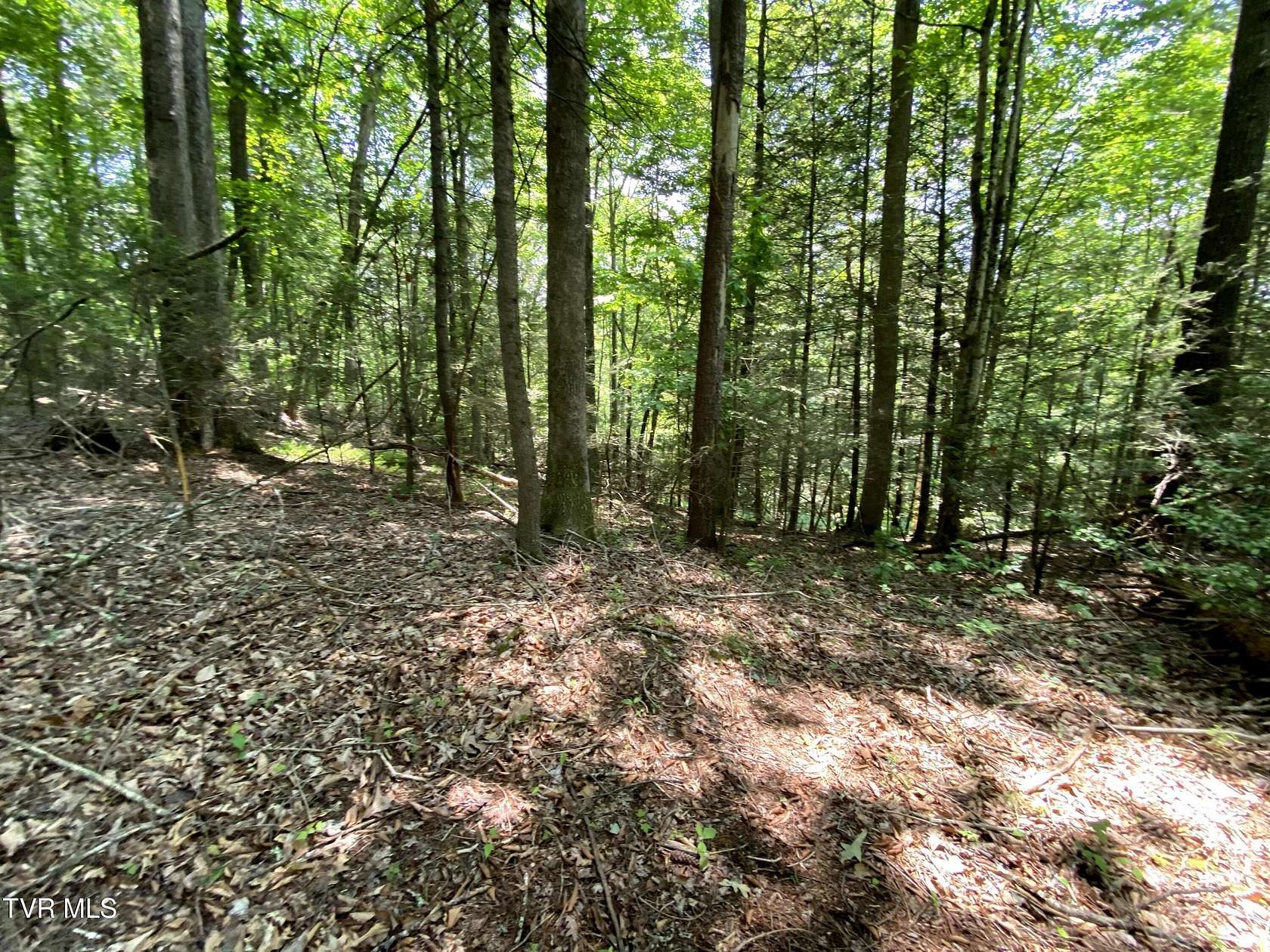 1.8 Acres of Residential Land for Sale in Mountain City, Tennessee
