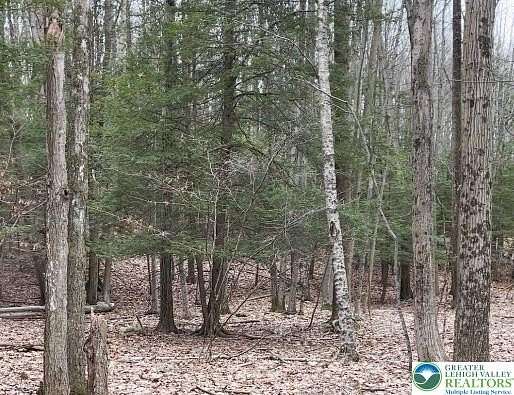 0.52 Acres of Residential Land for Sale in Cresco, Pennsylvania