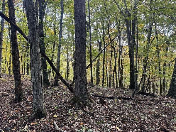8 Acres of Land for Sale in Sand Gap, Arkansas