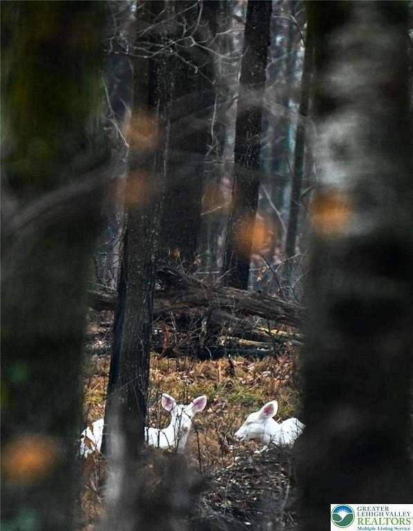 0.46 Acres of Residential Land for Sale in Tunkhannock Township, Pennsylvania