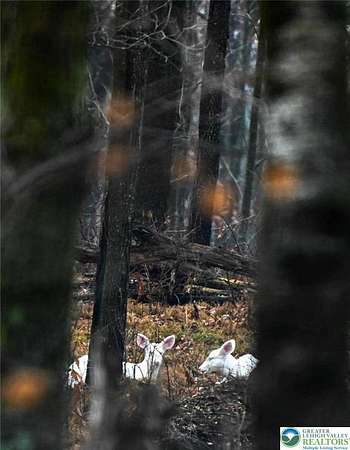 0.46 Acres of Residential Land for Sale in Tunkhannock Township, Pennsylvania