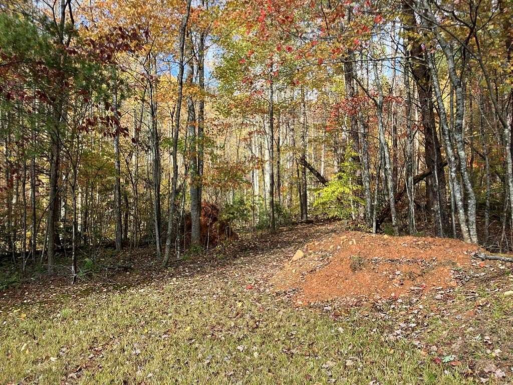Residential Land for Sale in Murphy, North Carolina