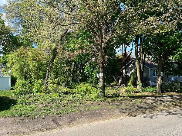0.09 Acres of Residential Land for Sale in Wyandanch, New York