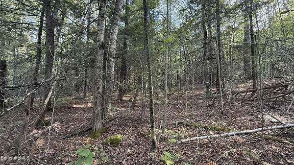 2.17 Acres of Residential Land for Sale in Becket, Massachusetts