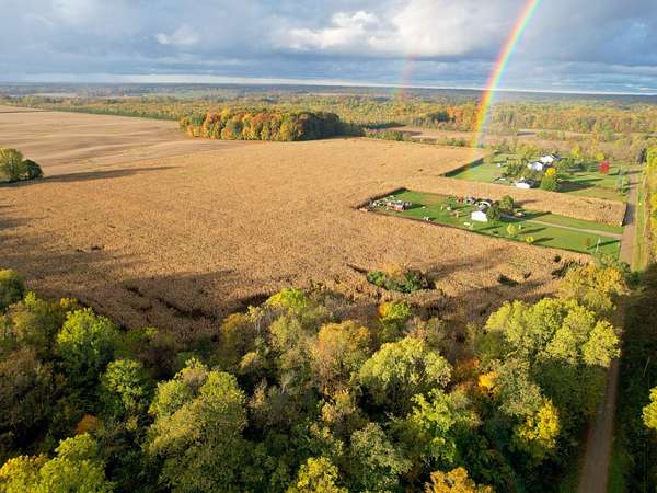 39.5 Acres of Agricultural Land for Sale in Berrien Springs, Michigan