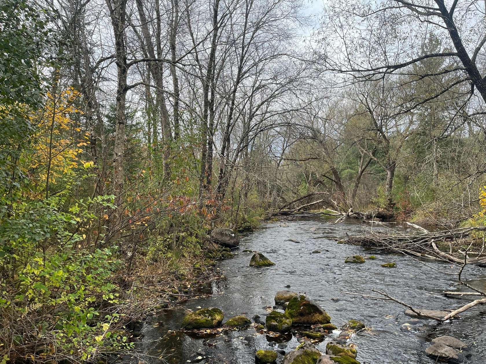 36.8 Acres of Land for Sale in Fifield, Wisconsin