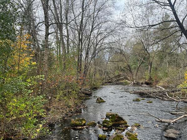 36.8 Acres of Land for Sale in Fifield, Wisconsin