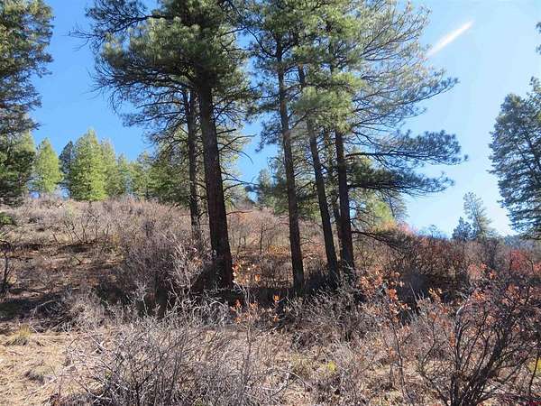 1.1 Acres of Residential Land for Sale in Pagosa Springs, Colorado