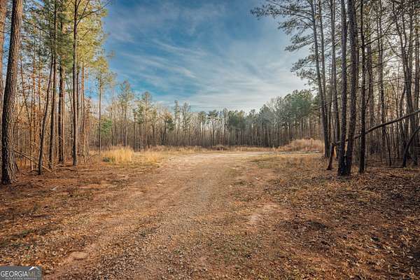 28.6 Acres of Recreational Land for Sale in Madison, Georgia