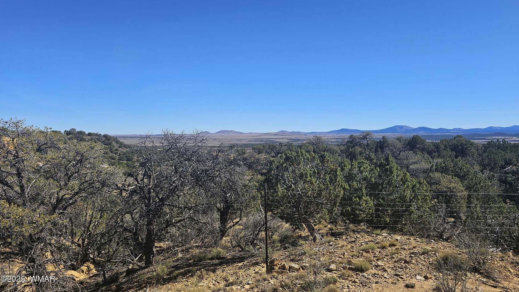 2.9 Acres of Residential Land for Sale in Concho, Arizona