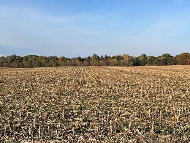 17 Acres of Land for Sale in Benton Harbor, Michigan