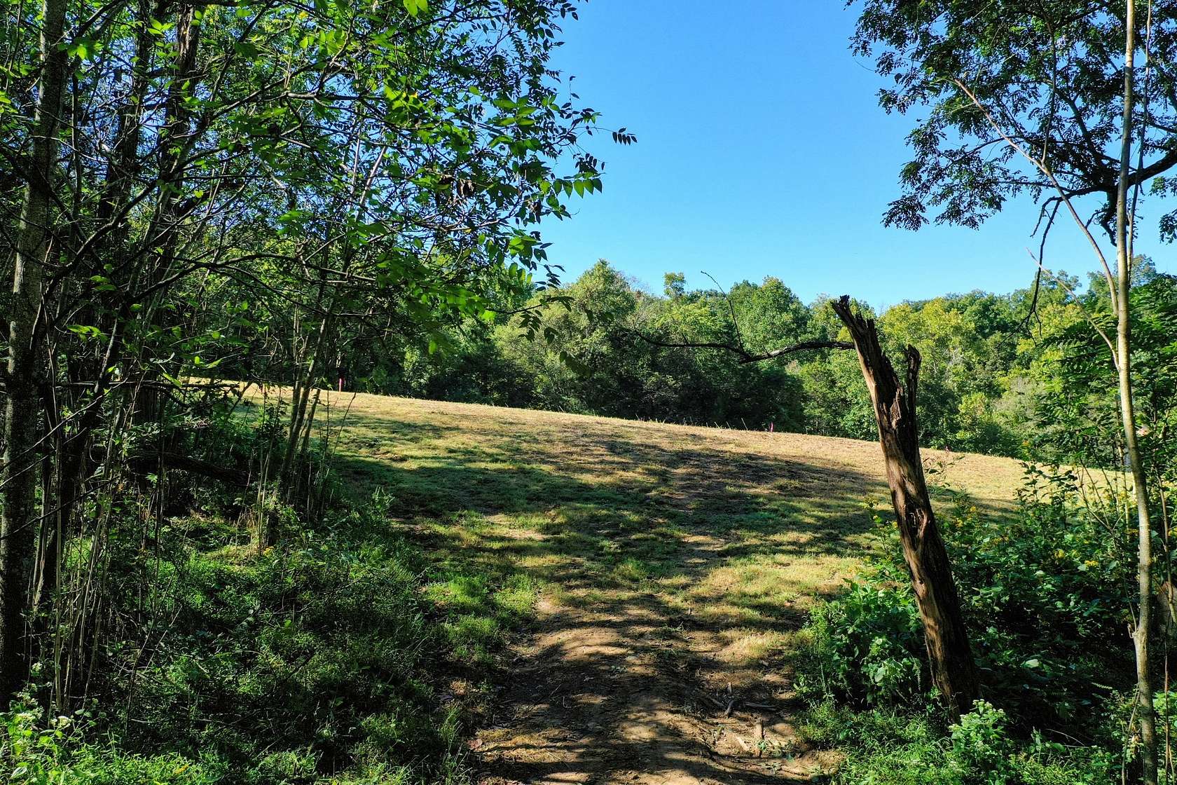 15 Acres of Land for Sale in Columbia, Tennessee