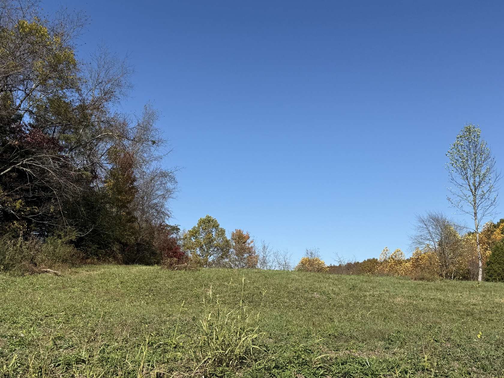 1.1 Acres of Residential Land for Sale in Westmoreland, Tennessee