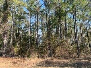 1.1 Acres of Residential Land for Sale in Cordele, Georgia