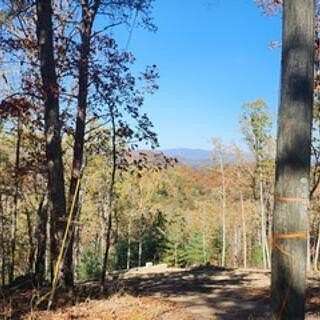 2 Acres of Residential Land for Sale in Ranger, Georgia