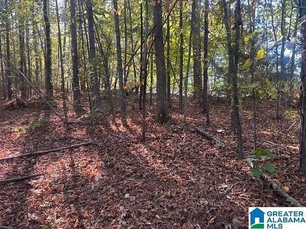 0.57 Acres of Residential Land for Sale in Wedowee, Alabama