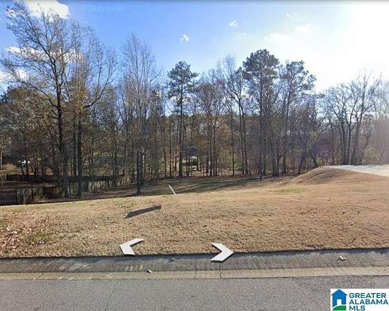 0.41 Acres of Residential Land for Sale in Chelsea, Alabama