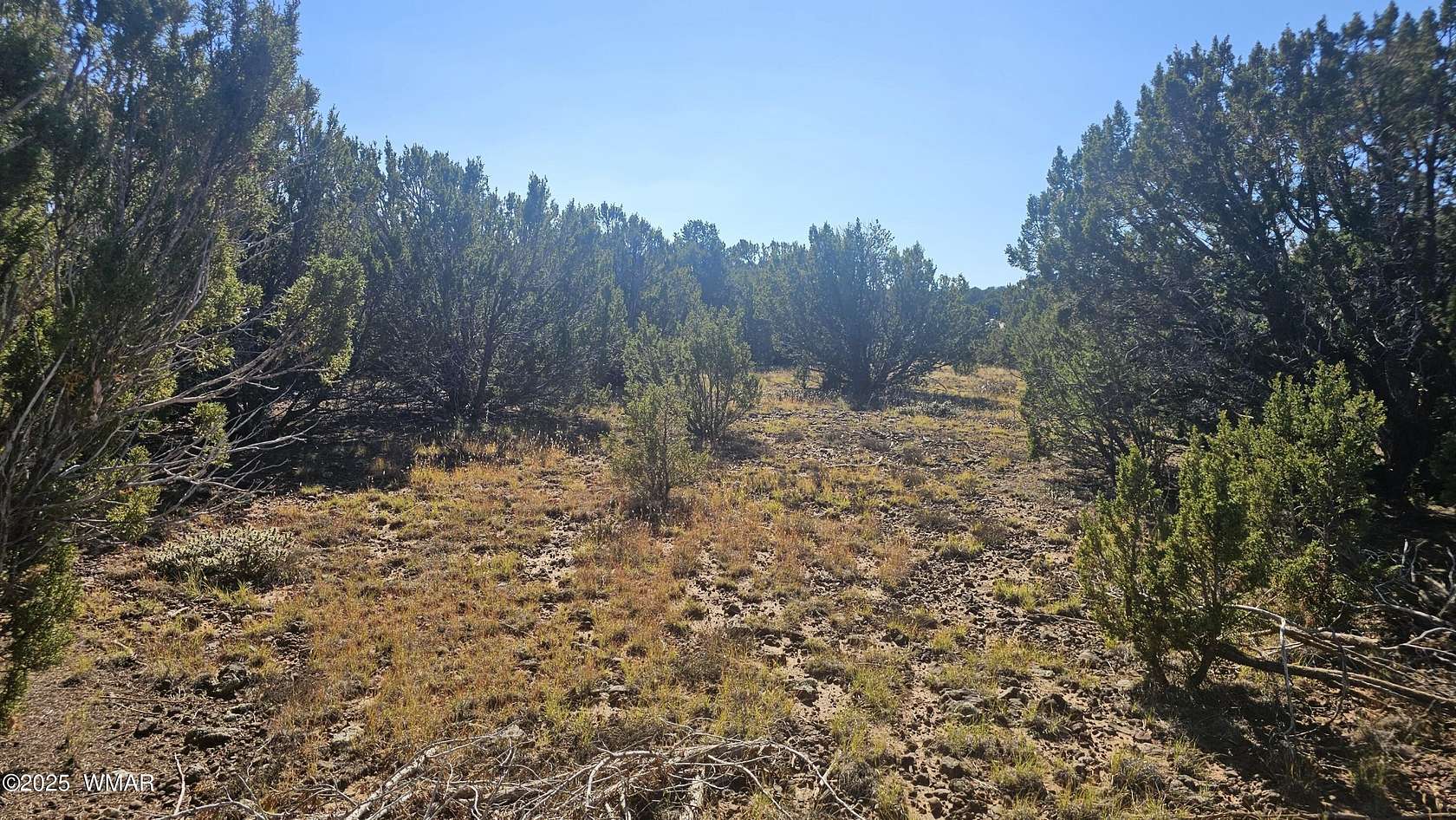 1.17 Acres of Residential Land for Sale in Vernon, Arizona