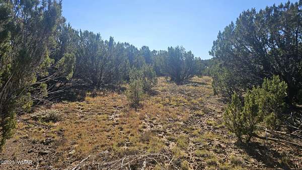1.17 Acres of Residential Land for Sale in Vernon, Arizona