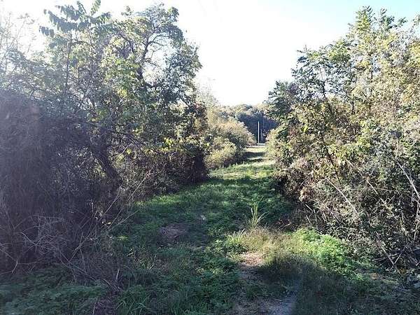 145 Acres of Improved Land for Auction in Owingsville, Kentucky