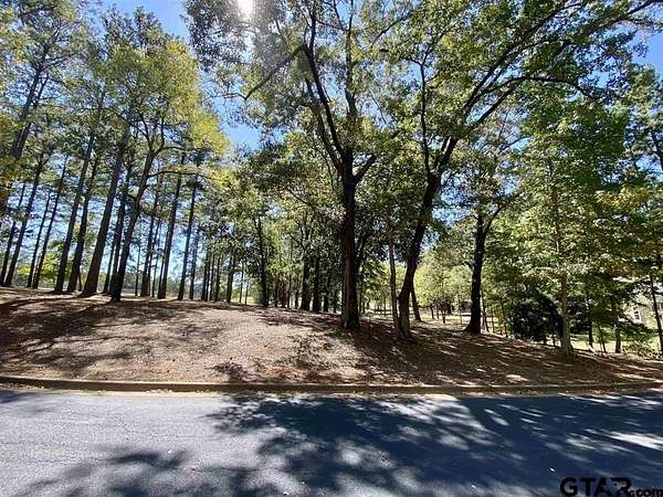0.94 Acres of Residential Land for Sale in Frankston, Texas
