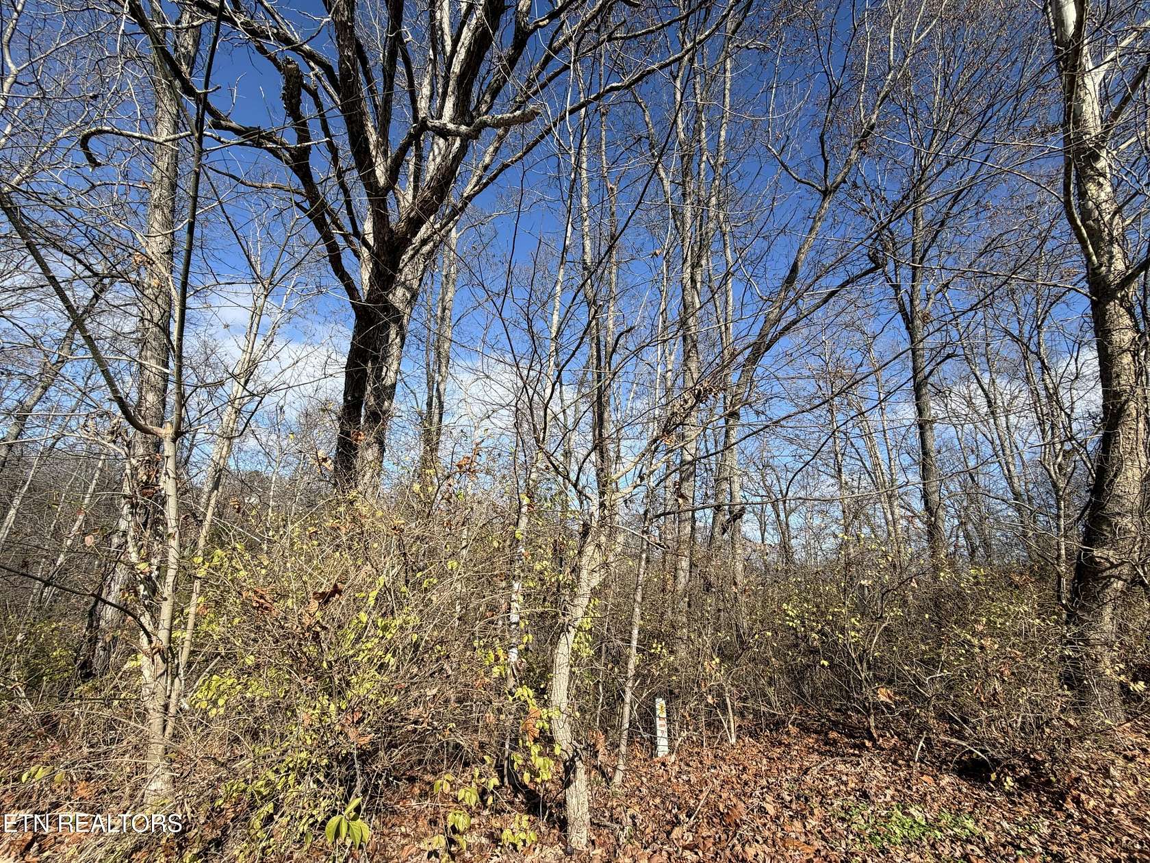 3.42 Acres of Residential Land for Sale in Tazewell, Tennessee