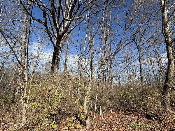 3.42 Acres of Residential Land for Sale in Tazewell, Tennessee