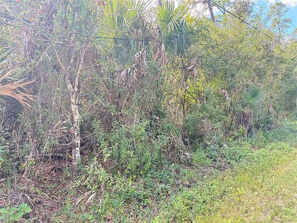 0.23 Acres of Residential Land for Sale in North Port, Florida