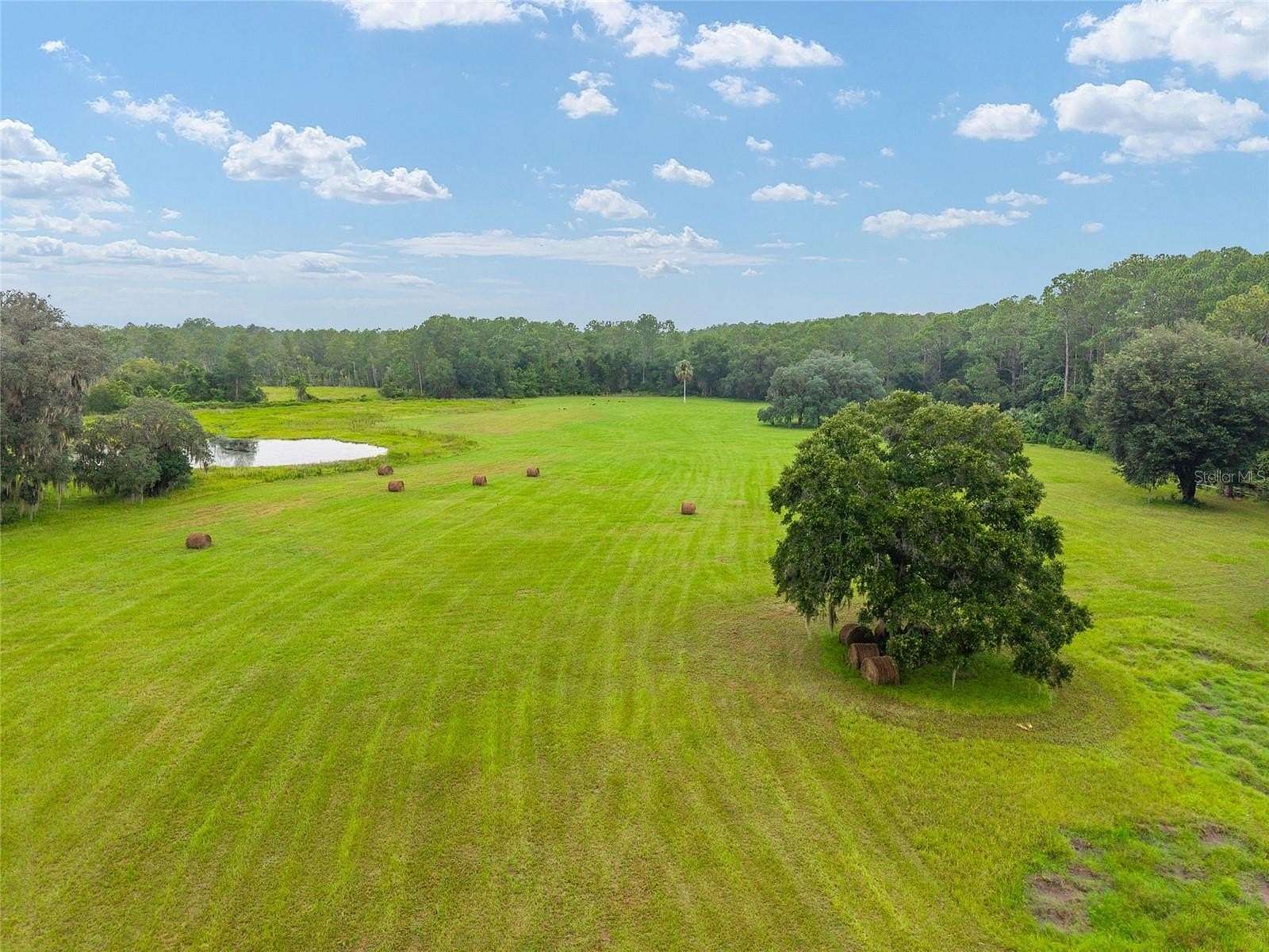 12.3 Acres of Recreational Land & Farm for Sale in Fort McCoy, Florida