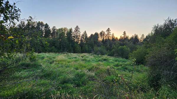 19.3 Acres of Recreational Land for Sale in Deer Park, Washington