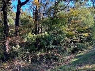 0.23 Acres of Residential Land for Sale in Trinidad, Texas