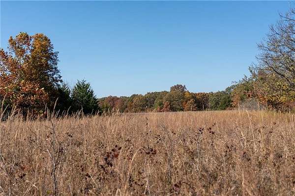 80.6 Acres of Land for Sale in Weaubleau, Missouri