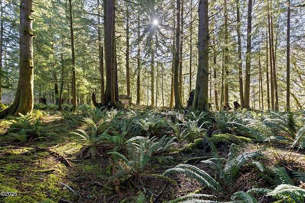 1.3 Acres of Residential Land for Sale in Otis, Oregon