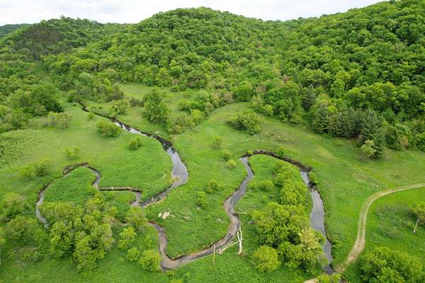 54 Acres of Recreational Land for Sale in Ferryville, Wisconsin
