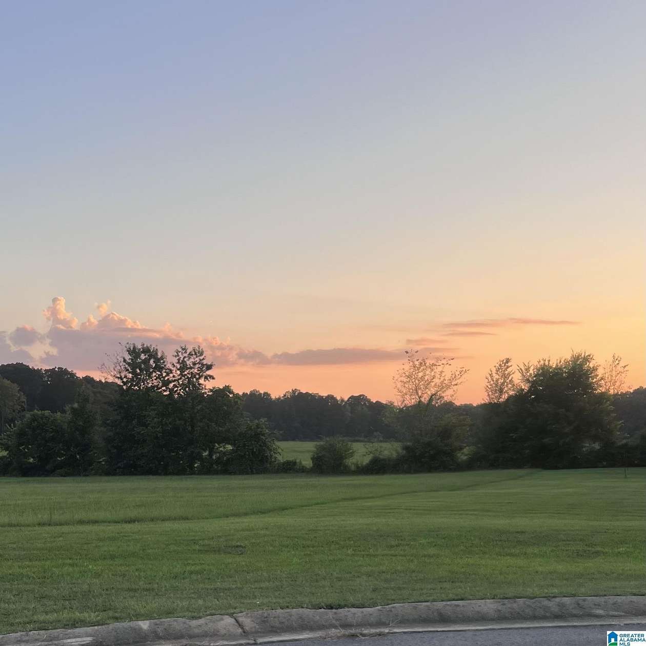 0.98 Acres of Residential Land for Sale in Dora, Alabama