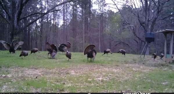 252 Acres of Recreational Land for Sale in Eupora, Mississippi