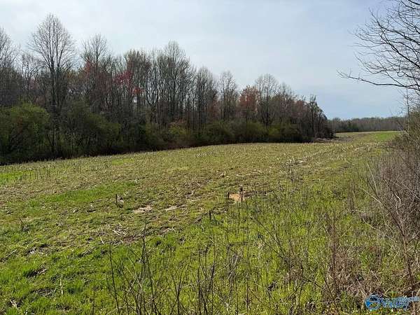 14 Acres of Recreational Land for Sale in Section, Alabama