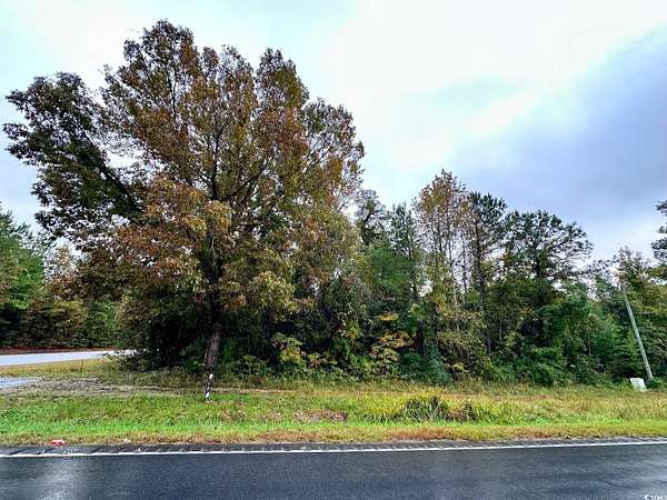 0.76 Acres of Residential Land for Sale in Green Sea, South Carolina