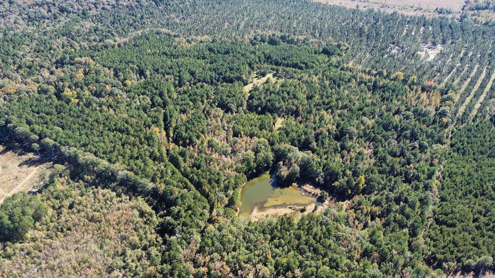 65 Acres of Recreational Land for Sale in Hermitage, Arkansas