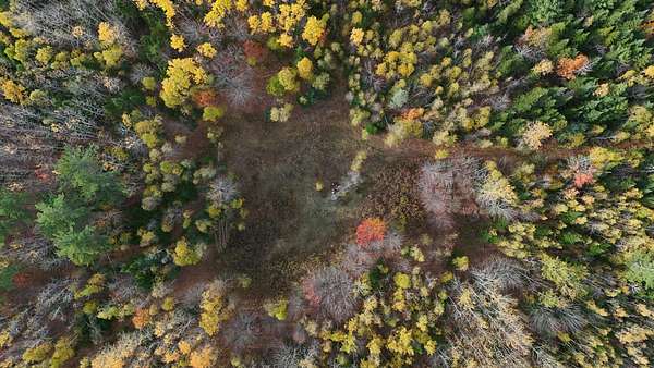 116 Acres of Recreational Land for Sale in Newburgh Town, Maine