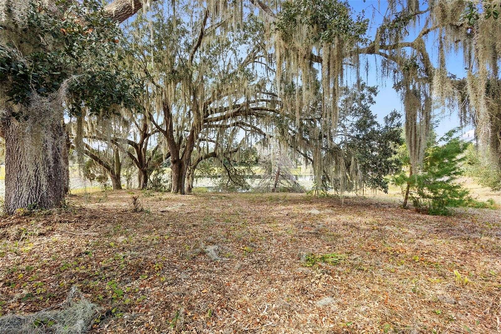 2.5 Acres of Residential Land for Sale in DeLand, Florida
