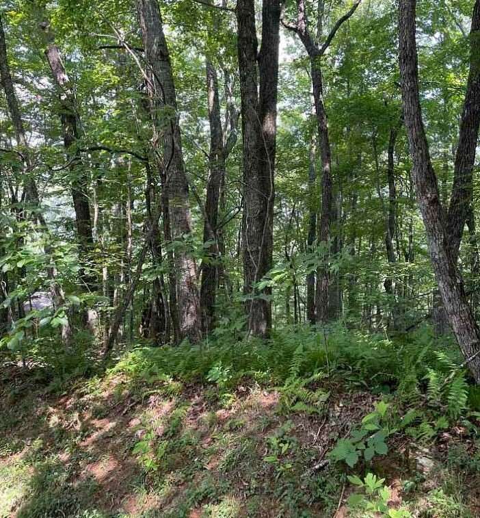 0.23 Acres of Land for Sale in Dillard, Georgia