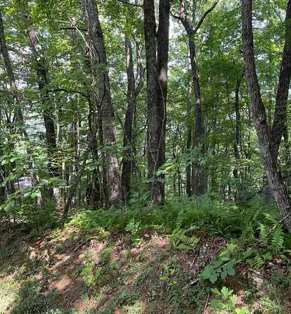 0.23 Acres of Land for Sale in Dillard, Georgia