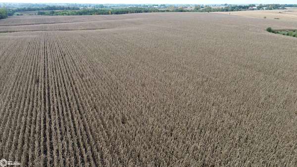 46 Acres of Recreational Land & Farm for Sale in Chariton, Iowa