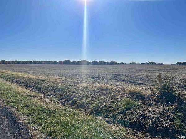 66.3 Acres of Agricultural Land for Auction in Auburn, Illinois
