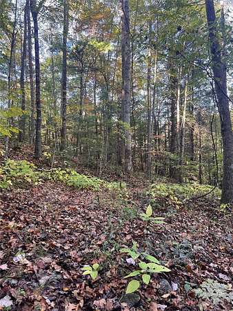 4.8 Acres of Residential Land for Sale in Hot Springs, North Carolina