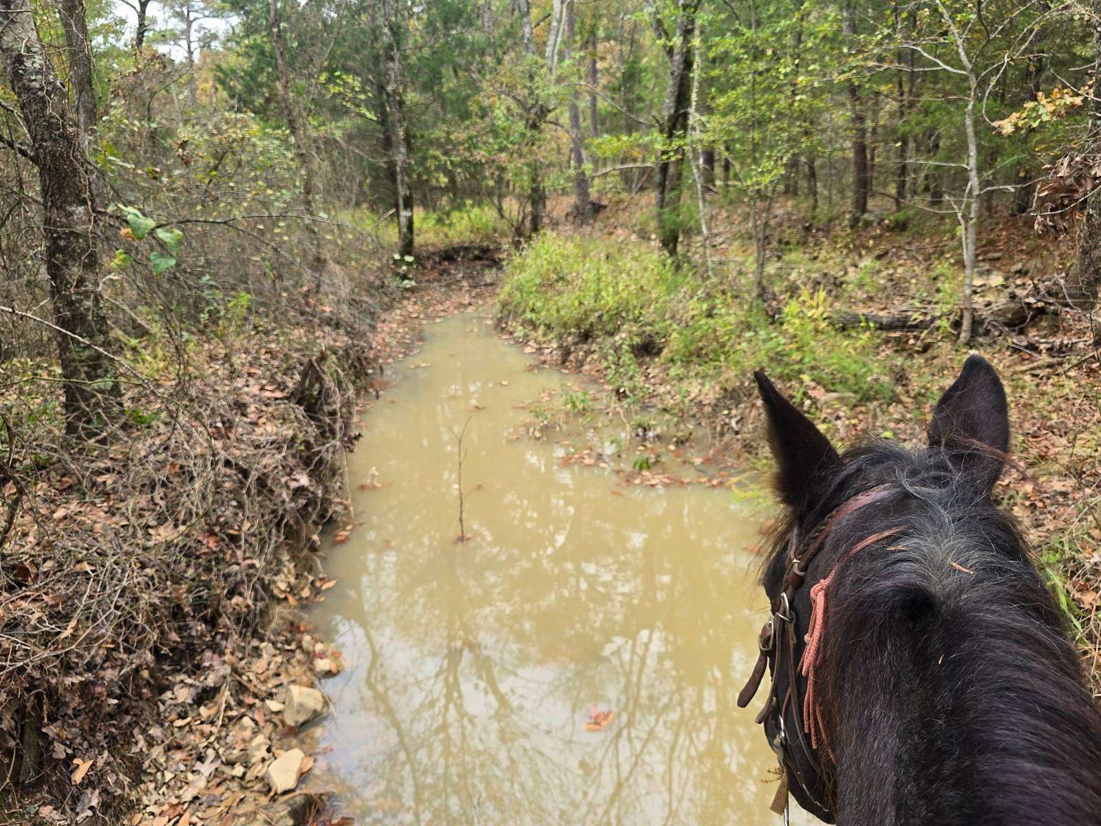8 Acres of Land for Sale in Talihina, Oklahoma